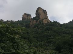 -大岭沟猕猴桃谷风景区