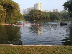 -晓港公园