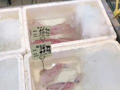 -蚝得喜海鲜(东城店)