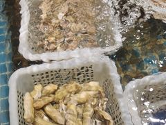 -小时候焗海鲜(鄞州万达店)