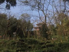 -青城山