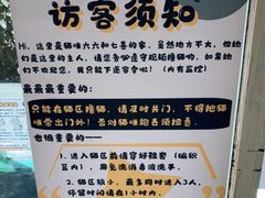 -羊咖啡(大理古城五华楼店)
