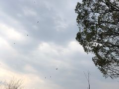 -泰宁旅游风景名胜区