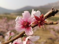 -里口山风景名胜区