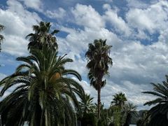 -千岛湖城中湖游船码头