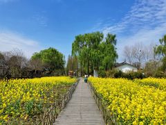 -溱湖国家湿地公园