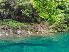 -石台牯牛降景区
