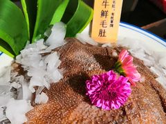 -九鼎轩脆毛肚火锅(三钢里店)