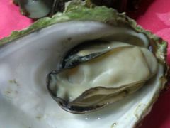 -邹记·美食(斗门店)