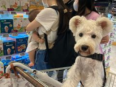-Olé精品超市(广州太古汇店)