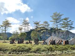 -水濂山森林公园