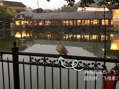 -深圳东部华侨城茵特拉根酒店