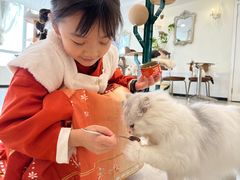 -共舞时光猫咖·狗咖(新街口店)
