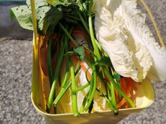 -前小桔亲子创意农场·草莓采摘·露营烧烤