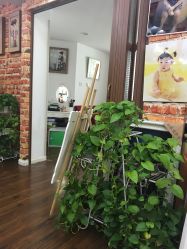 -小苹果儿童摄影(崇安店)