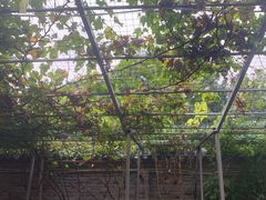 -伊隆斋(什刹海店)