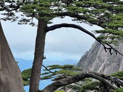 -黄山风景区