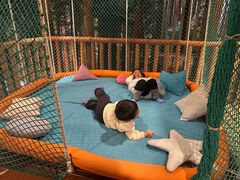 -黄海国家森林公园