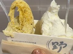 -野人先生现做冰淇淋(北京王府井东方新天地店)