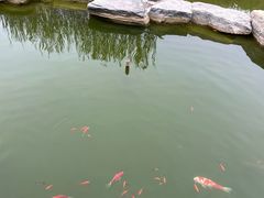 -天津燕园国际大酒店