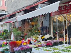 -平吉花卉市场