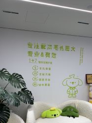 -凡碧诗毛孔清洁收细