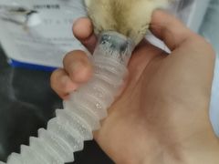 -宠颐生宠物医院(·宠保定点·鹰潭分院)