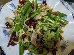 -广发草原蒙古部落
