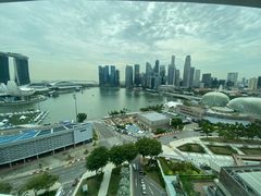 -新加坡文华东方酒店