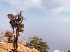 -科罗拉多大峡谷