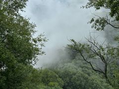-终南山国家森林公园