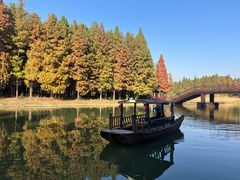 -溱湖国家湿地公园