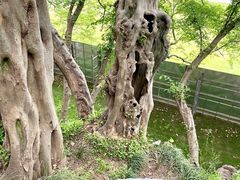 -幕燕滨江·燕子矶公园