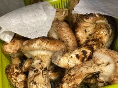 -蘑统田下·野生菌火锅