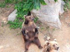 -石家庄市动物园