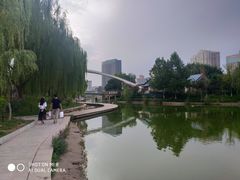 -雁滩公园