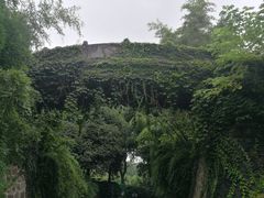 -菊花台公园