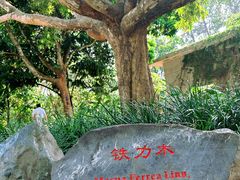 -中国科学院西双版纳热带植物园