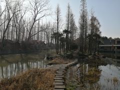 -上海怡沁园度假酒店