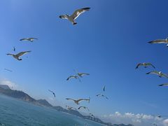 -海驴岛(荣成市)