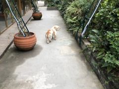 -半山•草庐玖厨(机场路店)