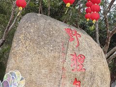 -野狸岛