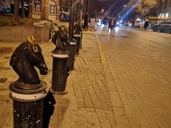 -布拉格餐厅· 中欧捷克菜(全国首店)