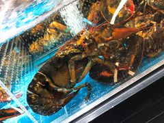 -盒马鲜生(大成店)