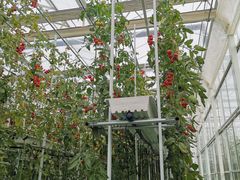 -兰陵国家农业公园