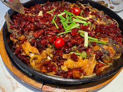 -老板恋上鱼(高新万达店)