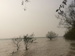 -宝安西湾红树林湿地公园