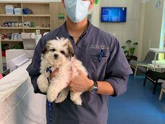 -佩兹宠物医院肿瘤专科·眼科·牙科(黄浦店)