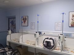 -纳吉亚猫专科动物诊疗中心(蒋宅口分院)