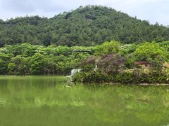 -广州白江湖森林公园